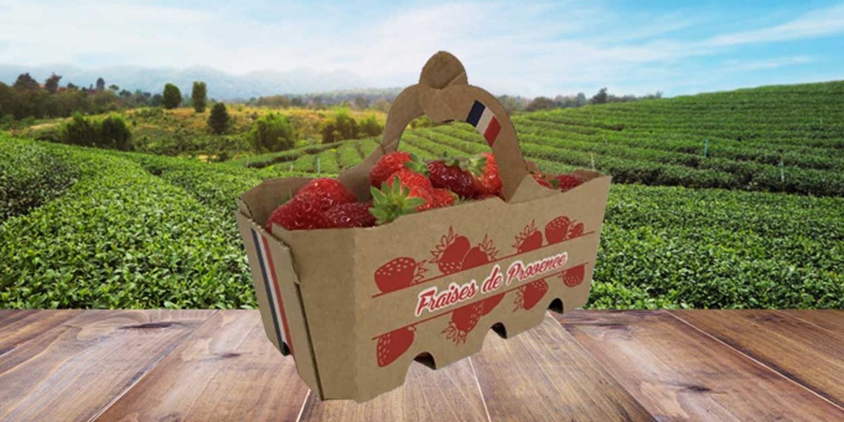 strawberry punnets, berry punnets, fruit packaging